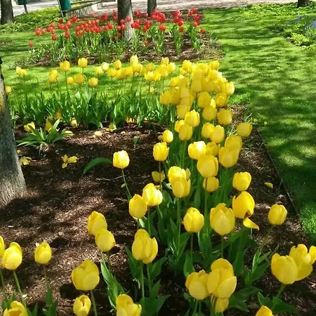 Penthouse Near The West Harbor *
