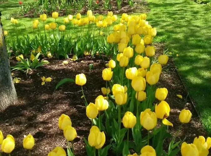 Penthouse Near The West Harbor *